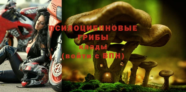 меф Алексин